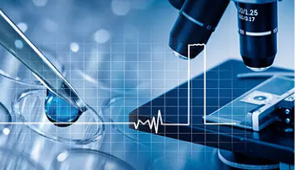 听说你是司法鉴定人，我要嫁给你！